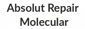 ABSOLUT REPAIR MOLECULAR